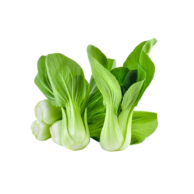 Bok Choy, Aeroponics Kerala