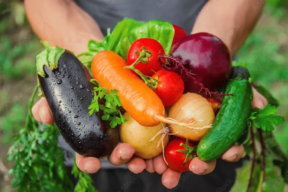 Explore what you can grow in HeyFarmer