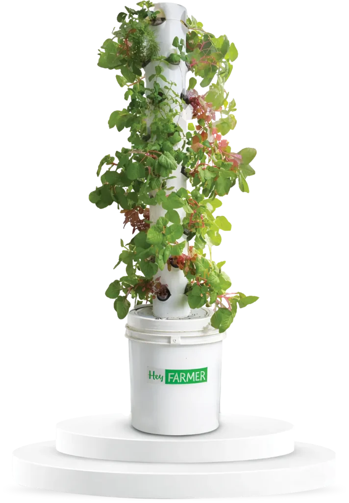 aeroponics in kerala