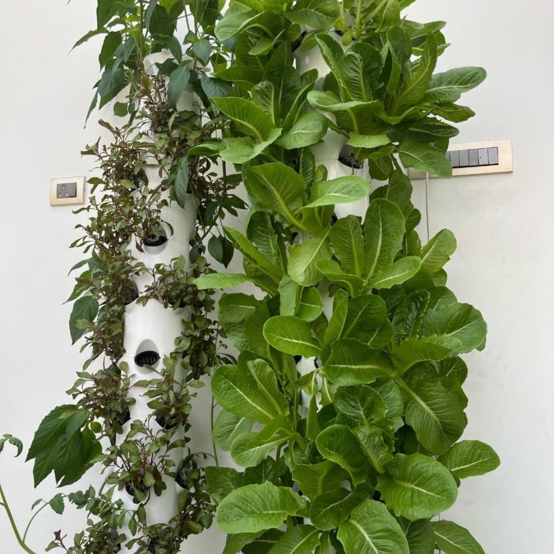 Gallery image 10