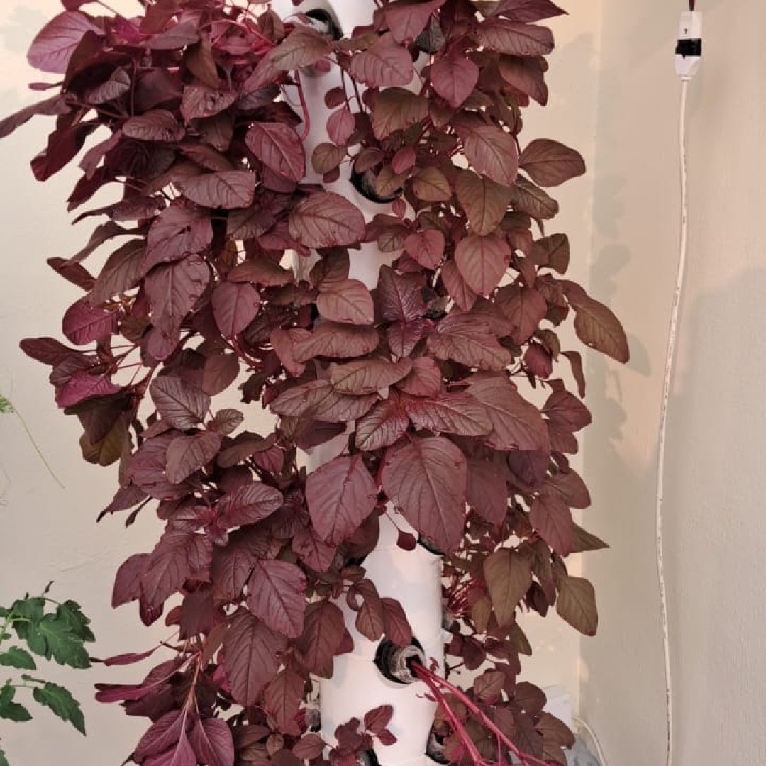 Gallery image 12