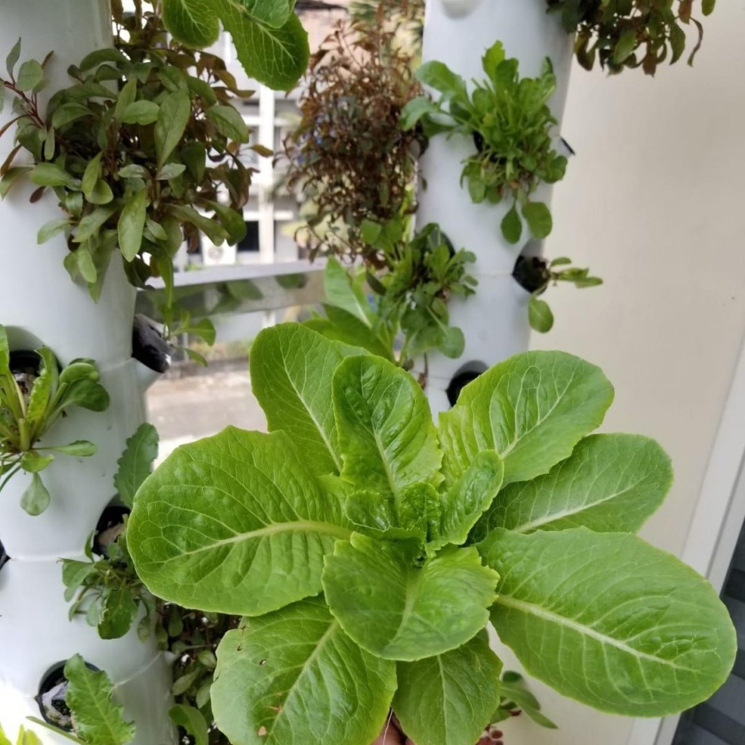 Gallery image 14