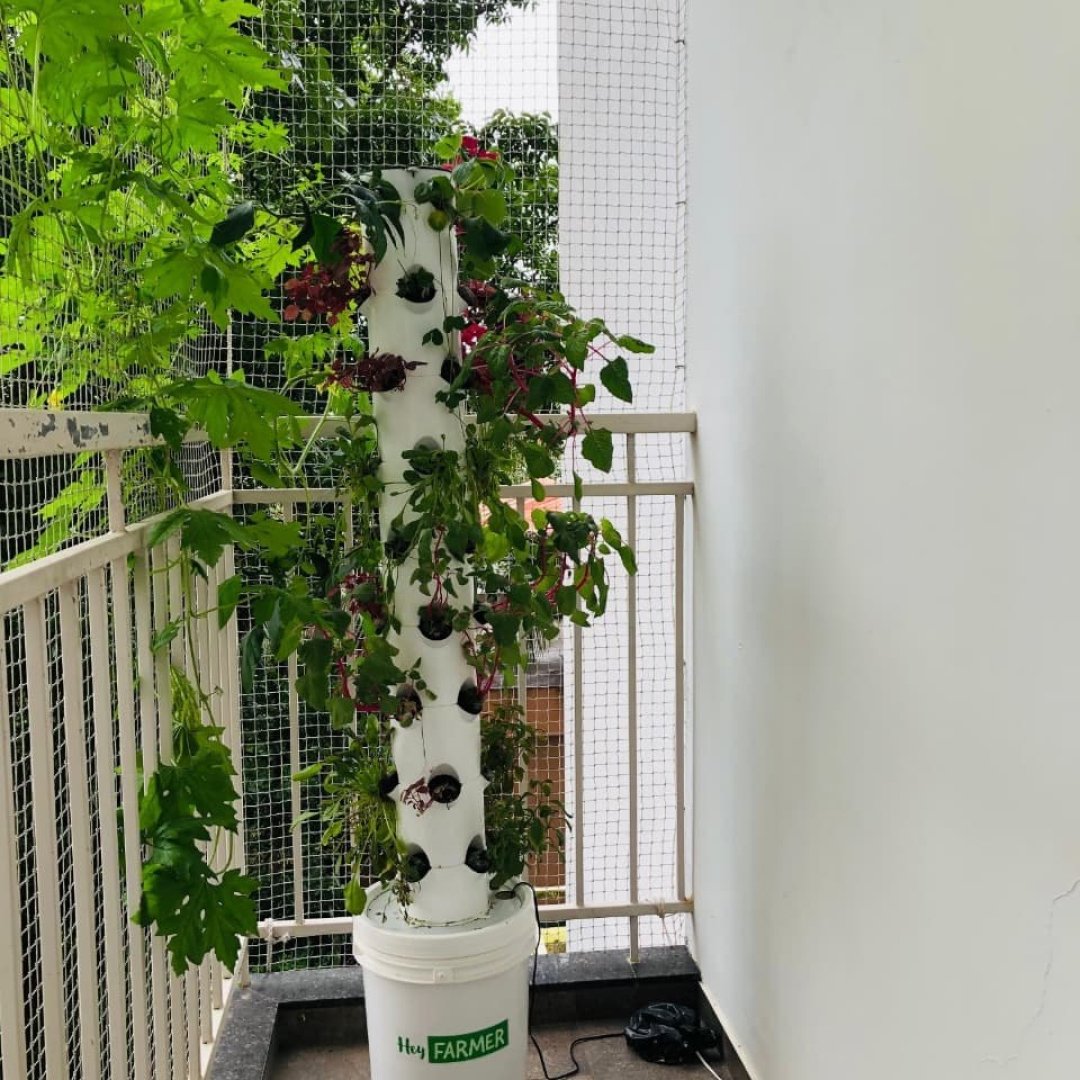 Gallery image 3